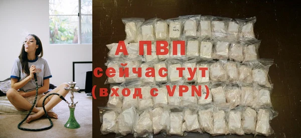 стафф Алексин
