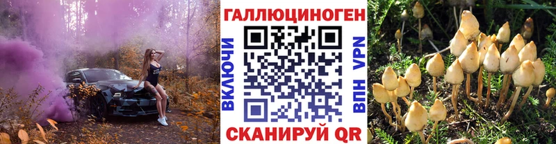 Галлюциногенные грибы прущие грибы магазин наркотиков Кореновск