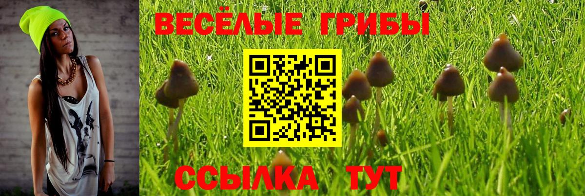 Псилоцибиновые грибы Cubensis Кореновск