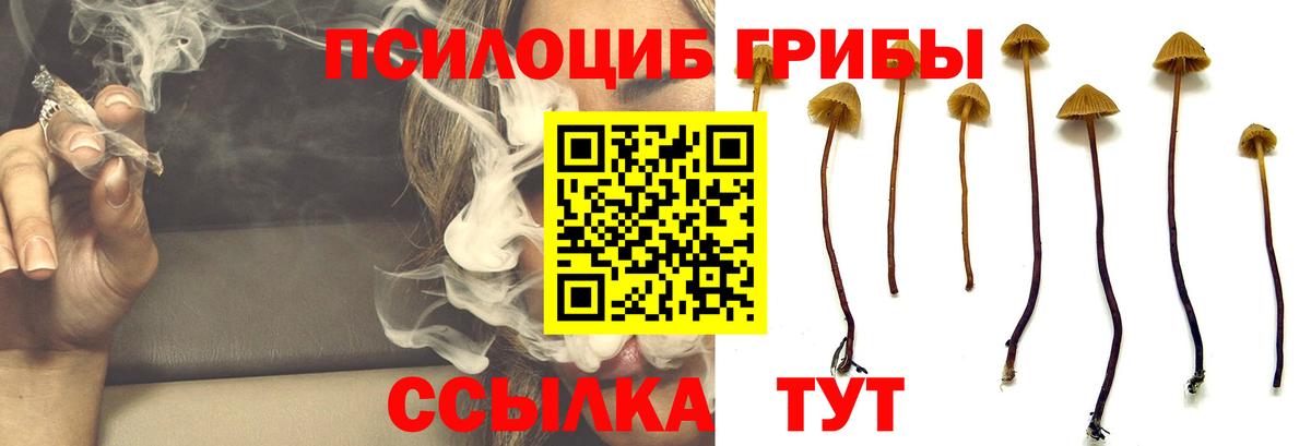 Кореновск  Галлюциногенные грибы ЛСД  Вход с VPN 